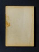 �u�H���a�v�̏��e