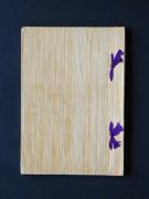 �u���e���e�v�k�a�l�̏��e