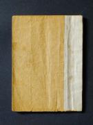 �u�g�M���v�̏��e