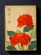 �u���f�̉ԁv�̏��e