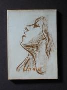 �u���̖��o�v�̏��e