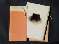 �u���X�]�v����ł̏��e