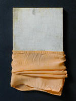 �u���X�]�v���ʔł̏��e