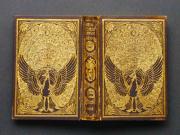 ��O���̏��e