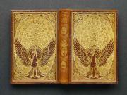 �掵���̏��e