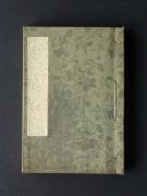 �ʊ����̏��e