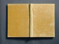 ��ꊪ�̏��e