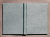 ��\���̏��e