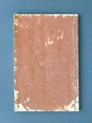 ���������̏��e