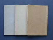 �D���̎n�܂肵���̏��e