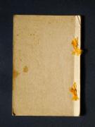 �d�̉Y��D�L�k�`�l�̏��e