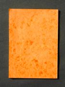 「夜這奇譚」〔C〕の書影