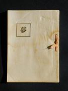 �u���v�̏��e